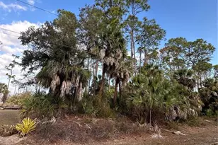 Joann Terrace, North Port, FL 34286 - Photo 1