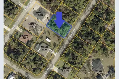 Joann Terrace, North Port, FL 34286 - Photo 3