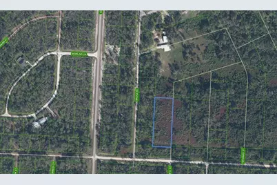 810 Pacific Street, Lake Placid, FL 33852 - Photo 3