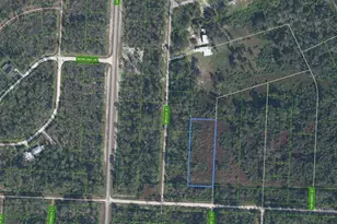 810 Pacific St, Lake Placid, FL 33852 - Photo 3