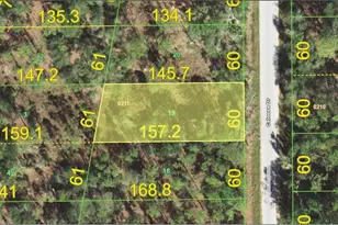 13155 Caloosa Dr, Punta Gorda, FL 33955 - Photo 1