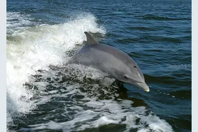 1000 Kings Highway #262, Punta Gorda, FL 33980 - Photo 77