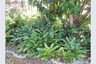 2720 Jay Place, Sarasota, FL 34235 - Photo 17