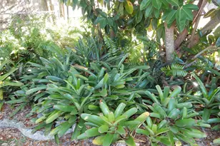 2720 Jay Pl, Sarasota, FL 34235 - Photo 17