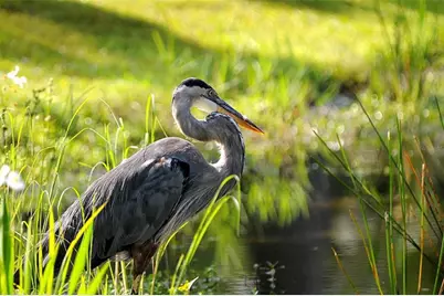 16394 San Edmundo Road, Punta Gorda, FL 33955 - Photo 55