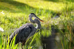 16394 San Edmundo Rd, Punta Gorda, FL 33955 - Photo 55