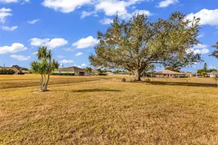 2333 Bengal Ct, Punta Gorda, FL 33983 - Photo 45