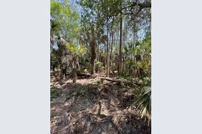 49765 Bermont Road, Punta Gorda, FL 33982 - Photo 3