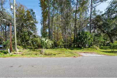 55848 Fern Road, Astor, FL 32102 - Photo 5