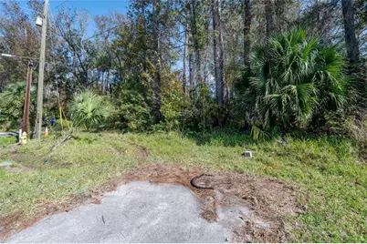 55848 Fern Road, Astor, FL 32102 - Photo 7