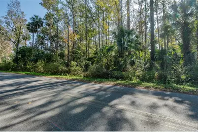 55848 Fern Road, Astor, FL 32102 - Photo 3