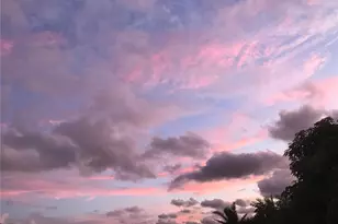 24139 Jolly Roger Blvd, Punta Gorda, FL 33955 - Photo 11