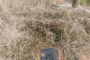 1472 Williams Gray Ct, Avon Park, FL 33825 - Photo 21