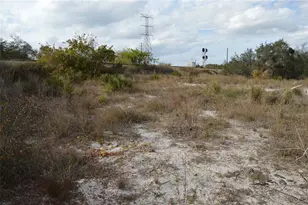 1472 Williams Gray Ct, Avon Park, FL 33825 - Photo 11