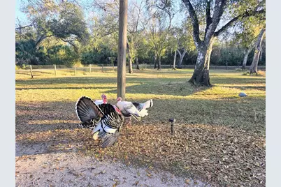 2207 SW Blossom Avenue, Arcadia, FL 34266 - Photo 7