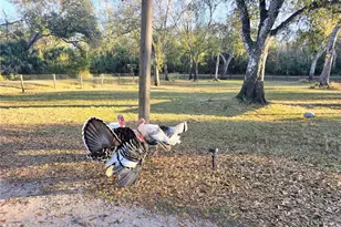 2207 SW Blossom Ave, Arcadia, FL 34266 - Photo 7