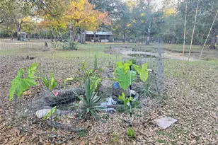 2207 SW Blossom Ave, Arcadia, FL 34266 - Photo 15