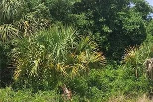 N Holloway Ave, North Port, FL 34288 - Photo 1
