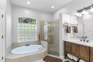 19719 Spring Willow Ct, Odessa, FL 33556 - Photo 5