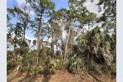 Cleo Street, North Port, FL 34286 - Photo 3