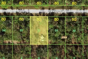 13093 Harbison Ave, Port Charlotte, FL 33953 - Photo 1