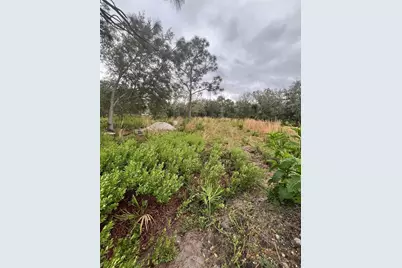 4683 SE Rye Avenue, Arcadia, FL 34266 - Photo 3