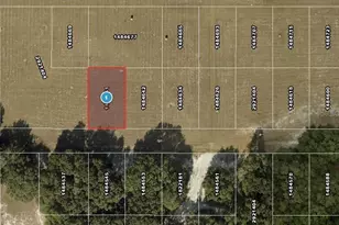 SW 136th Ave, Ocala, FL 34481 - Photo 1