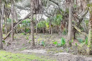 1833 Indio St, North Port, FL 34288 - Photo 51