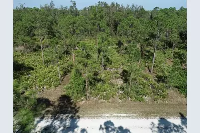 27342 Balboa Drive, Punta Gorda, FL 33955 - Photo 5