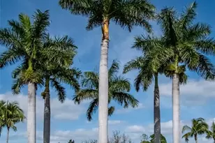 255 W End Dr, Punta Gorda, FL 33950 - Photo 57