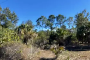 28165 Monte Cristo Dr, Punta Gorda, FL 33955 - Photo 1