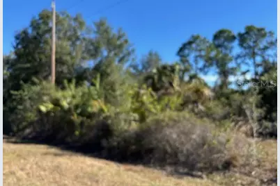 28165 Monte Cristo Drive, Punta Gorda, FL 33955 - Photo 3