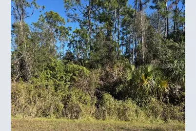 13636 Sulky Drive, Punta Gorda, FL 33955 - Photo 5