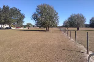 12051 Avon Park Cut Off Rd, Fort Meade, FL 33841 - Photo 3