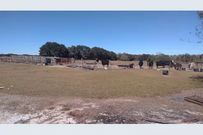 12051 Avon Park Cut Off Road, Fort Meade, FL 33841 - Photo 9