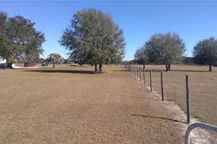 12051 Avon Park Cut Off Rd, Fort Meade, FL 33841 - Photo 5