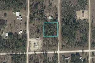 NE 125th Ct, Williston, FL 32696 - Photo 1