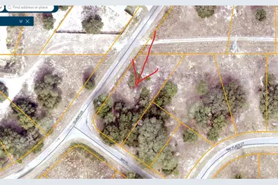 Lot 1 Guava Terrace, Ocklawaha, FL 32179 - Photo 3