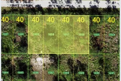 26335 Glaspell Road, Punta Gorda, FL 33955 - Photo 3