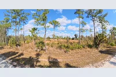 12196 Caravan Drive, Punta Gorda, FL 33955 - Photo 3