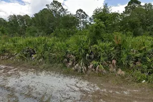 2020 Scott Ave, Alva, FL 33920 - Photo 1