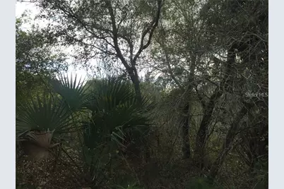 Lot 9 Honeycomb Circle, North Port, FL 34291 - Photo 5