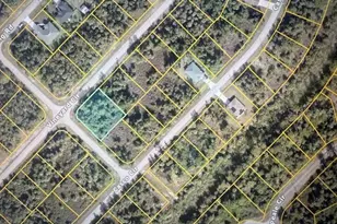 Vineyard Circle, North Port, FL 34288 - Photo 1