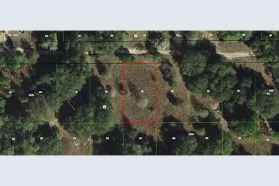 2407 Tyler Street, Inverness, FL 34453 - Photo 1