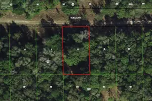 1913 Falkner St, Inverness, FL 34453 - Photo 1