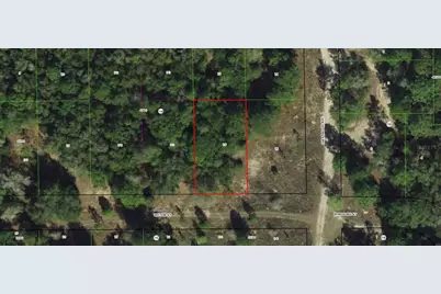 1902 Victor Street, Inverness, FL 34453 - Photo 1