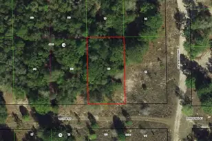 1902 Victor St, Inverness, FL 34453 - Photo 1