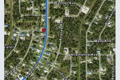 Ananas Road, North Port, FL 34288 - Photo 7