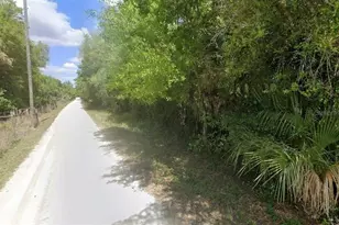 8115 SW Horse Creek Rd, Arcadia, FL 34266 - Photo 1