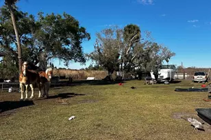 15080 NW 12th Terrace, Okeechobee, FL 34972 - Photo 29